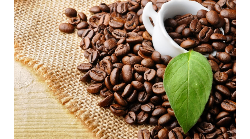 Nhượng Quyền kinh doanh cà phê Thương Hiệu Anna Coffee 